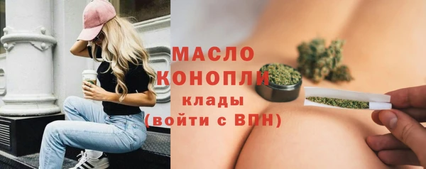 стаф Пересвет