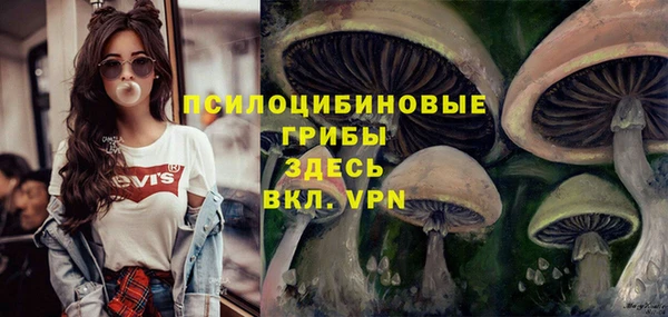 мдпв Лихославль