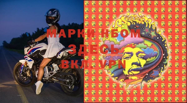 ГАЛЛЮЦИНОГЕННЫЕ ГРИБЫ Липки